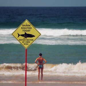 Eine Person steht am Strand und schaut aufs Meer. Im Vordergrund ist ein Schild mit der Aufschrift "Stark sighted today" und der Zeichnung eines Hais.
